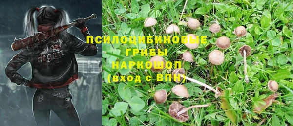 прущий лед Алексеевка