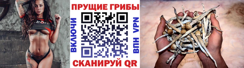 Псилоцибиновые грибы прущие грибы Раменское