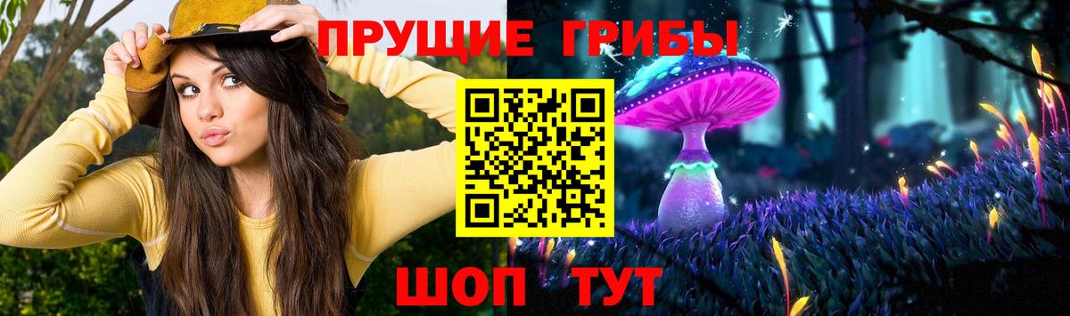 Раменское  Галлюциногенные грибы ЛСД  Вход с VPN 