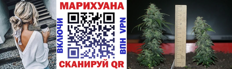 Шишки марихуана OG Kush  Раменское 